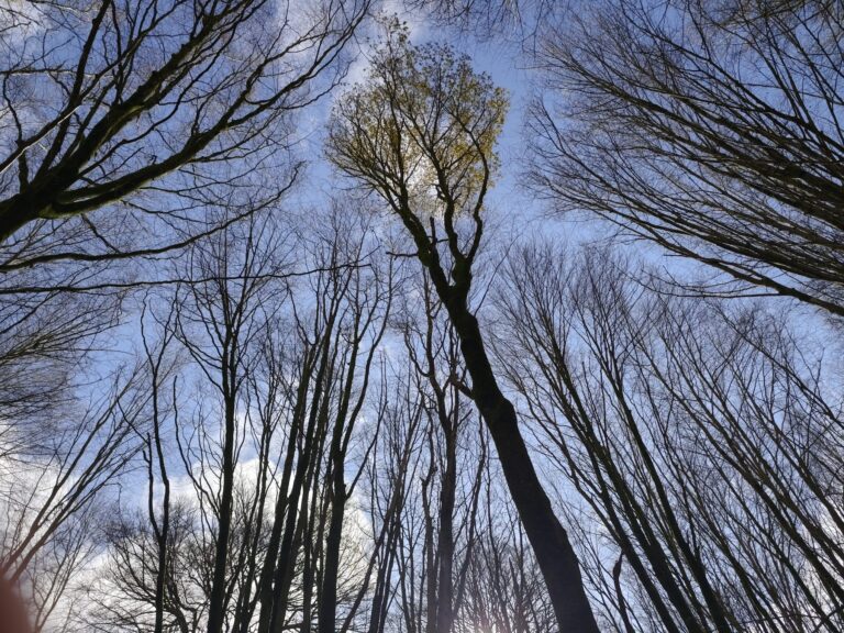 Padierniga-Pico Candiano-Bueras