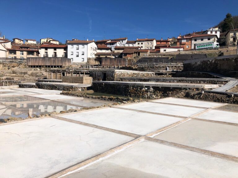 Salida cultural-Valle Salado de Salinas de Añana